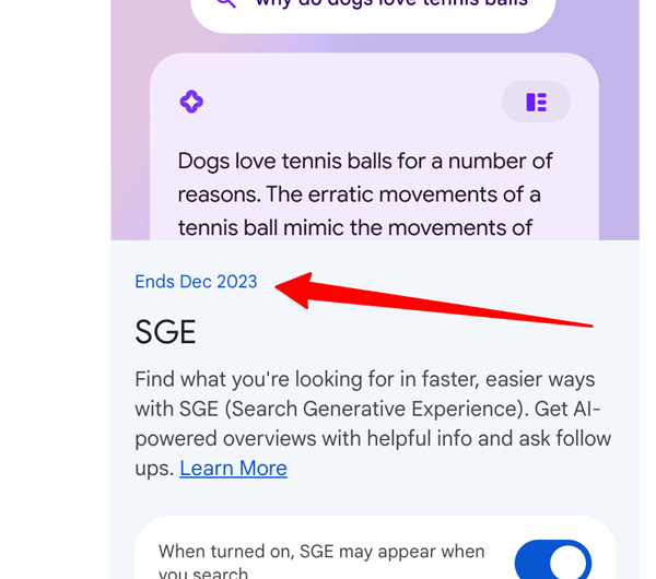 Google планирует тестировать SGE до декабря 2023 года